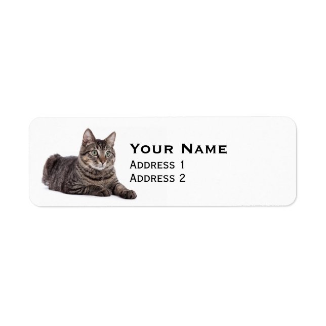 Etiqueta Gray Tabby Cat (Frente)