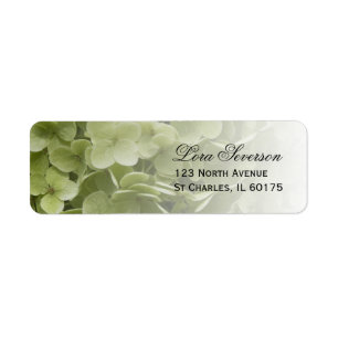 Etiqueta Green Annabelle Hydrangea Floral Return Address