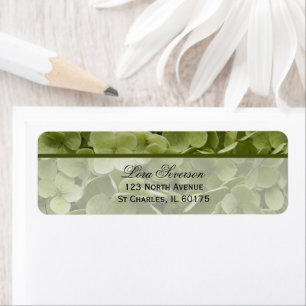 Etiqueta Green Annabelle Hydrangea Flower Return Address