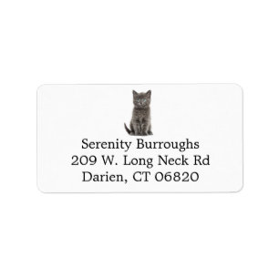Etiqueta Gris Gris Gatito Gato Gris Lover Gray Kitten