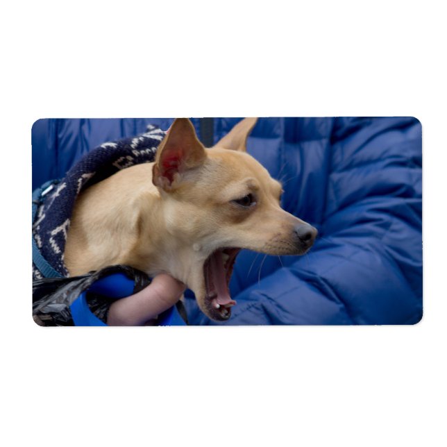 Etiqueta Gritando a Chihuahua (Frente)