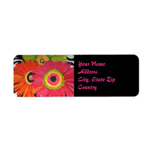 Etiqueta Groovy Gerbera Daisy Label