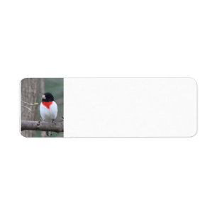 Etiqueta Grosbeak