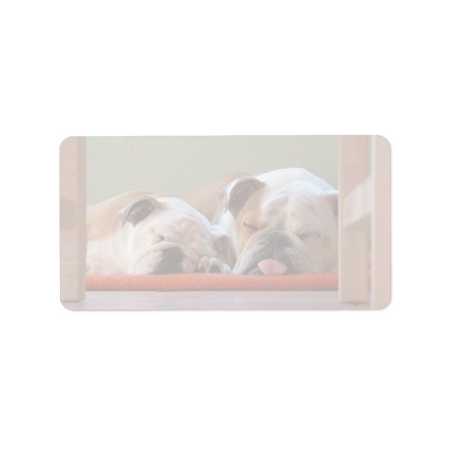 Etiqueta Grupo Bulldog durmiendo (Frente)
