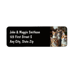 Etiqueta Grupo divertido de gatos gatitos Mascotas de anima