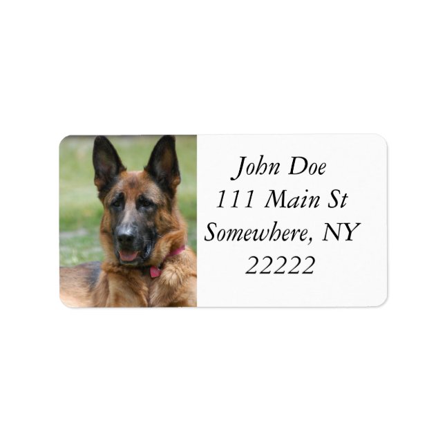 Etiqueta GSD joven (Frente)