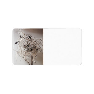 Etiqueta ¿Hacer Un Deseo?