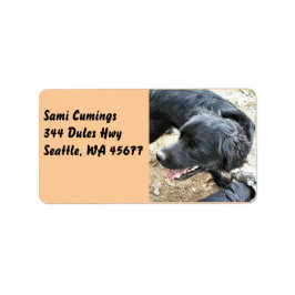 Etiqueta Happy Black Cocker Spaniel