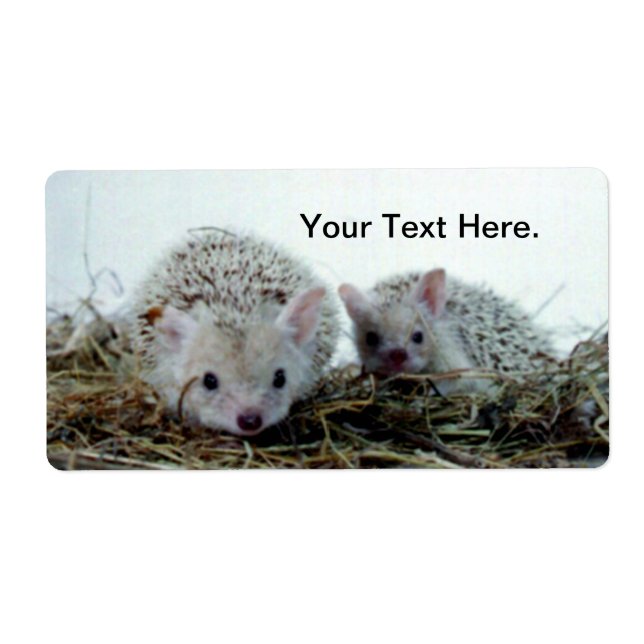 Etiqueta Hedgehogs como Mascotas (Frente)