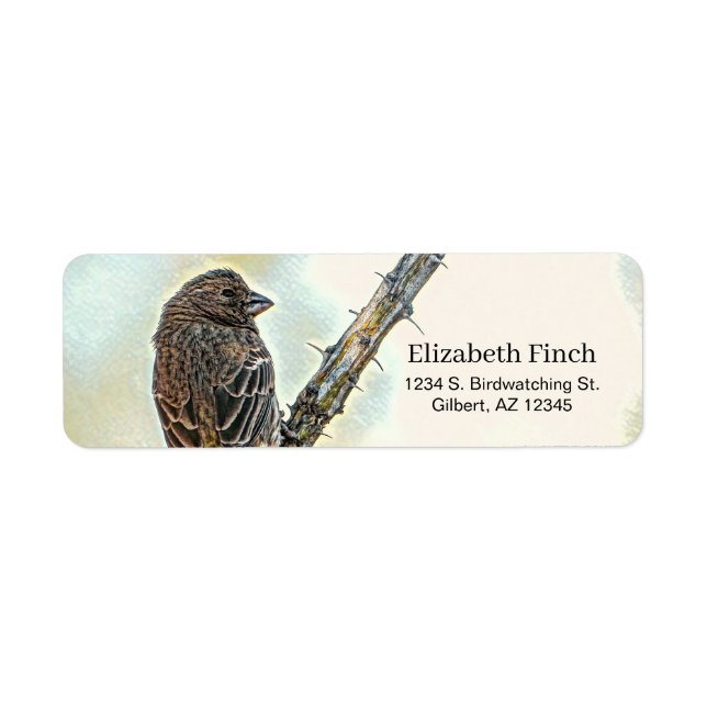 Etiqueta Hembra Finch Bird Spiny Ocotillo (Frente)