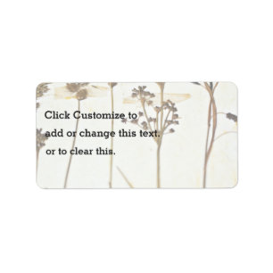 Etiqueta Herbario En Blanco