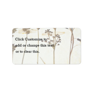 Etiqueta Herbario En Blanco