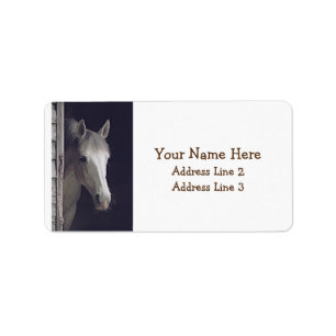 Etiqueta Hermosa dirección de caballo Gray Mare