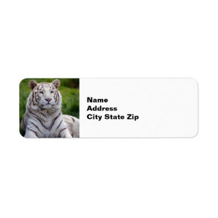 Etiqueta Hermosa foto de tigre blanco