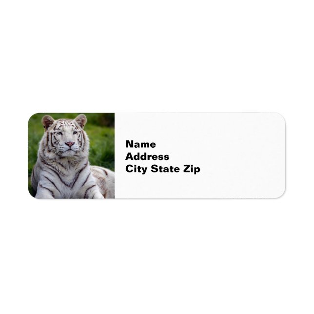 Etiqueta Hermosa foto de tigre blanco (Frente)