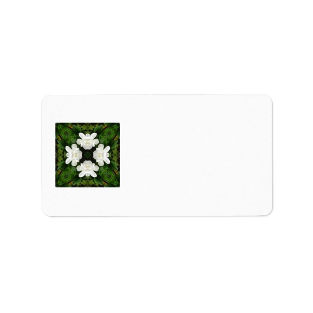 Etiqueta Hermosa Gardenia 5 Kaleidoscope 2 (Frente)