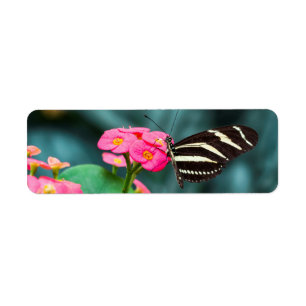 Etiqueta Hermosa mariposa en una flor rosa