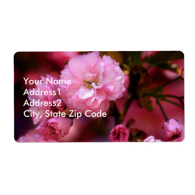 Etiqueta Hermosas flores de cerezo rosado de primavera (Frente)