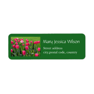 Etiqueta Hermosas flores de tulipán rosado de primavera ver