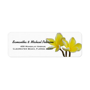 Etiqueta Hermosas flores tropicales de Plumeria