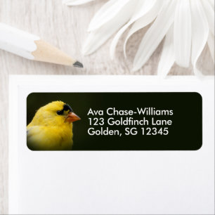 Etiqueta Hermoso americano Goldfinch Songbird