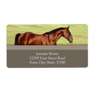 Etiqueta Hermoso caballo de bahía