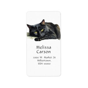 Etiqueta Hermoso gato negro