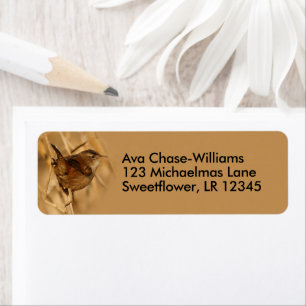 Etiqueta Hermoso pájaro de la hierba de la marisma en carri