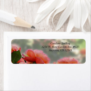 Etiqueta Hermosos Rosas Peach