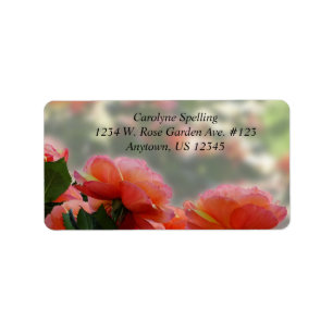 Etiqueta Hermosos Rosas Peach