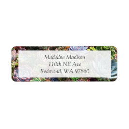 Etiqueta Hermosos Suculentos