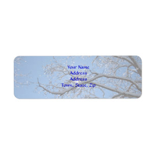 Etiqueta Hielo que brilla y árboles nevados