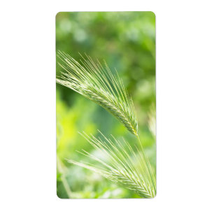 Etiqueta Hierba verde