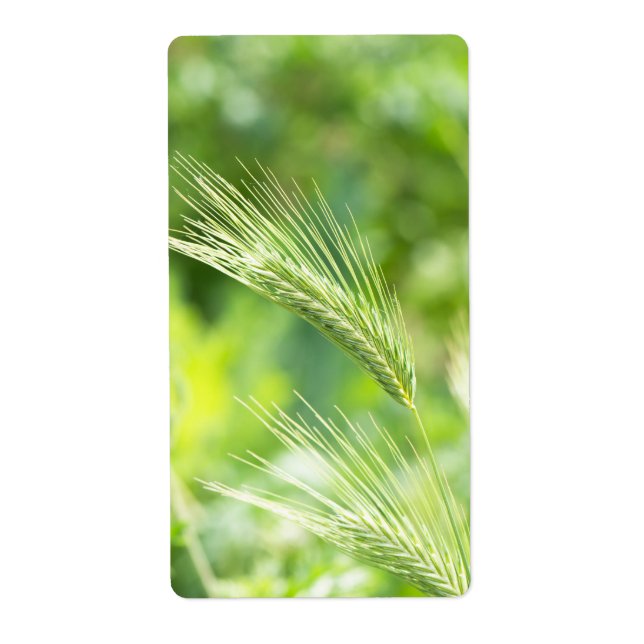 Etiqueta Hierba verde (Frente)