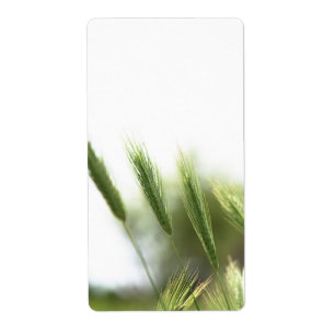 Etiqueta Hierba verde