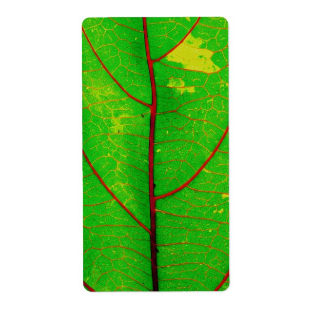 Etiqueta Hoja (Frente)