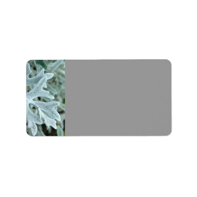 ETIQUETA HOJA DE PLATA (Frente)