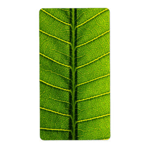 Etiqueta Hoja verde