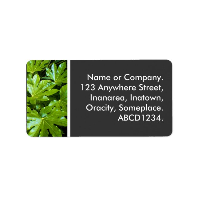 Etiqueta Hojas (Frente)