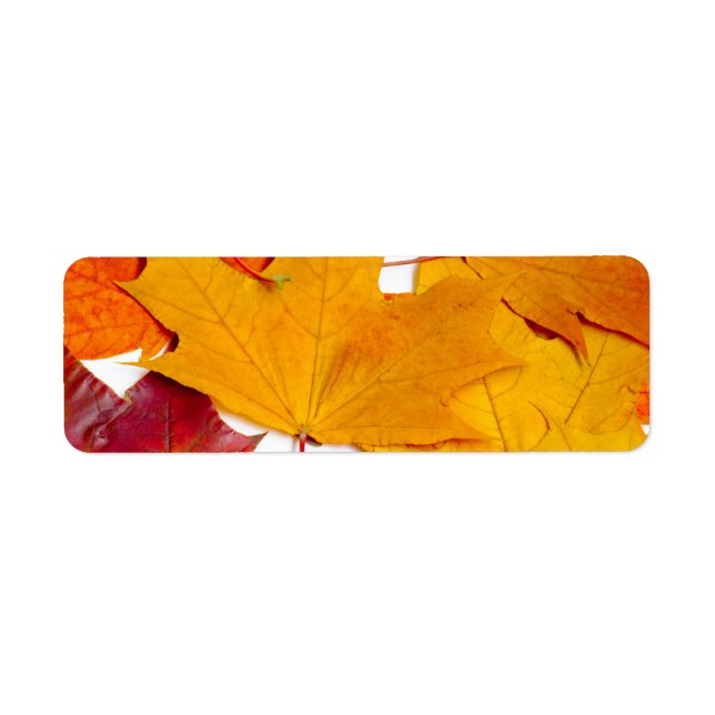 Etiqueta Hojas de arce (Frente)