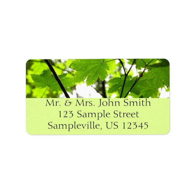 Etiqueta Hojas de arce con gotas de lluvia (Frente)