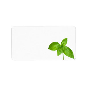Etiqueta Hojas de la albahaca aisladas en el fondo blanco