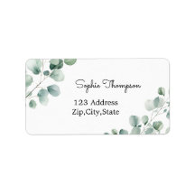 Hojas verdes de Eucalyptus