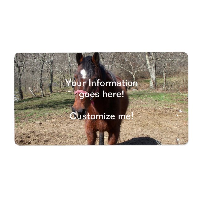 Etiqueta Hola, Horsey (Frente)