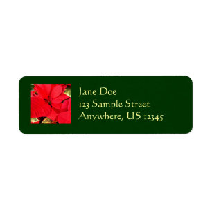 Etiqueta Holly Point Poinsettias Holiday Floral