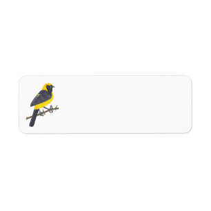 ETIQUETA HOODED ORIOLE