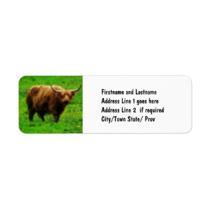 Etiqueta Horno largo de pelo largo con cuernos largos