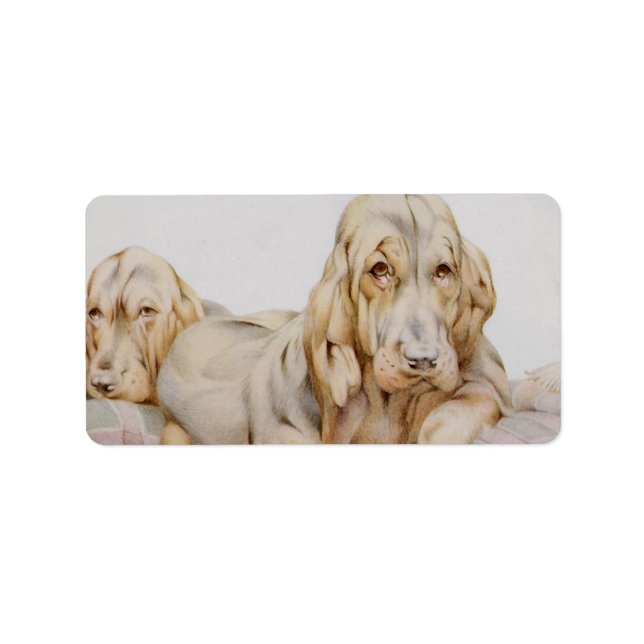 Etiqueta Huevos blancos, perros cachorros de EJ Detmold (Frente)