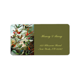 Etiqueta Hummingbirds por Ernst Haeckel