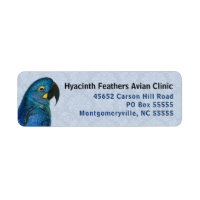 Hyacinin Macaw Avian Business Blue Return Address